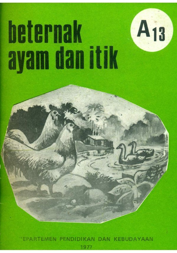 Sampul Beternak ayam dan itik A13